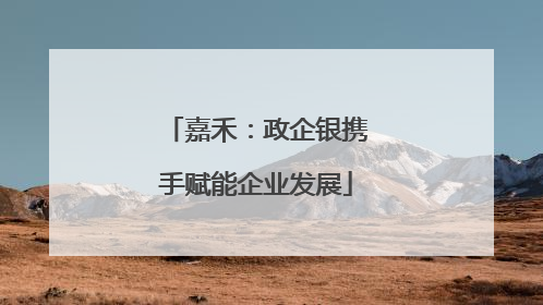 嘉禾：政企银携手赋能企业发展