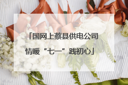 国网上蔡县供电公司情暖“七一”践初心