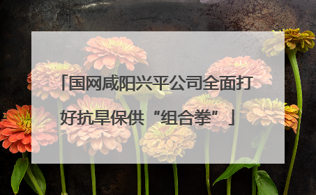 国网咸阳兴平公司全面打好抗旱保供“组合拳”