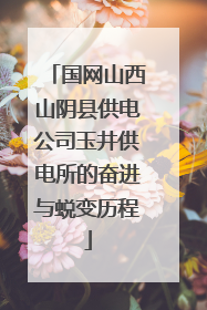 国网山西山阴县供电公司玉井供电所的奋进与蜕变历程