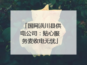 国网潢川县供电公司：贴心服务麦收电无忧