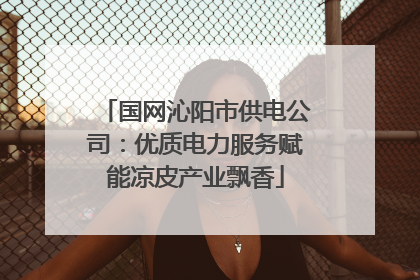 国网沁阳市供电公司：优质电力服务赋能凉皮产业飘香