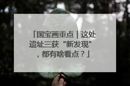 国宝画重点｜这处遗址三获“新发现”，都有啥看点？