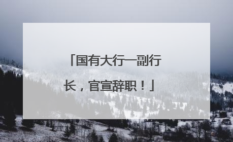 国有大行一副行长，官宣辞职！