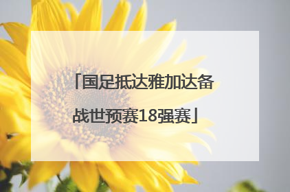 国足抵达雅加达备战世预赛18强赛