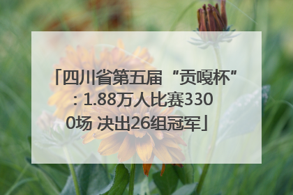 四川省第五届“贡嘎杯”：1.88万人比赛3300场 决出26组冠军