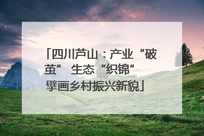 四川芦山：产业“破茧” 生态“织锦” 擘画乡村振兴新貌
