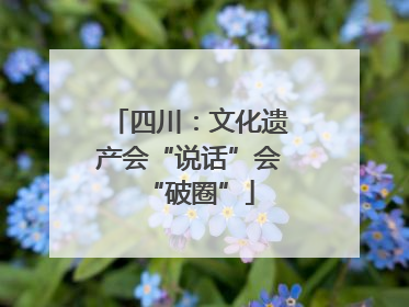 四川：文化遗产会“说话”会“破圈”