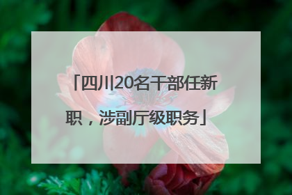 四川20名干部任新职，涉副厅级职务