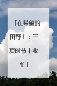 在希望的田野上：三夏时节丰收忙