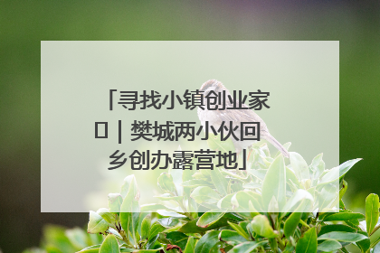 寻找小镇创业家㊳｜樊城两小伙回乡创办露营地