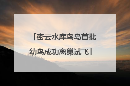 密云水库鸟岛首批幼鸟成功离巢试飞