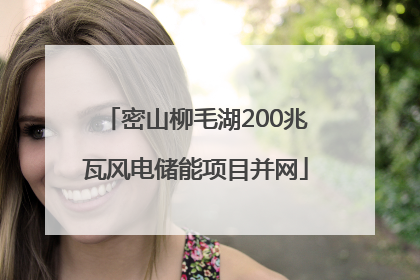密山柳毛湖200兆瓦风电储能项目并网