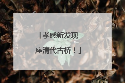 孝感新发现一座清代古桥！
