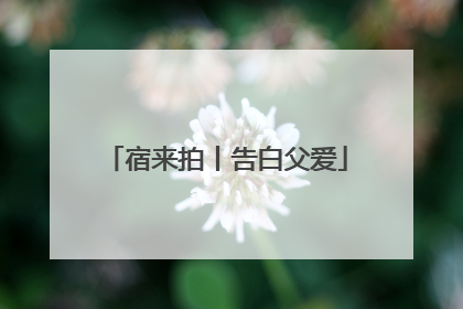 宿来拍丨告白父爱