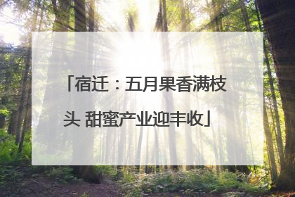 宿迁：五月果香满枝头 甜蜜产业迎丰收