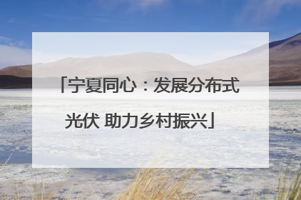 宁夏同心：发展分布式光伏 助力乡村振兴