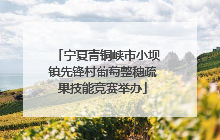 宁夏青铜峡市小坝镇先锋村葡萄整穗疏果技能竞赛举办