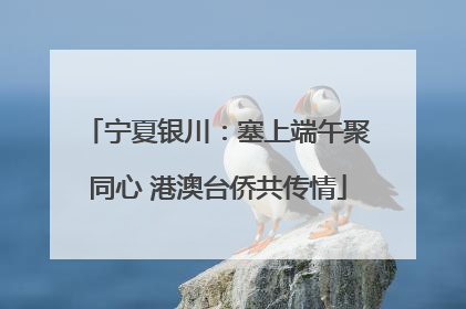 宁夏银川：塞上端午聚同心 港澳台侨共传情