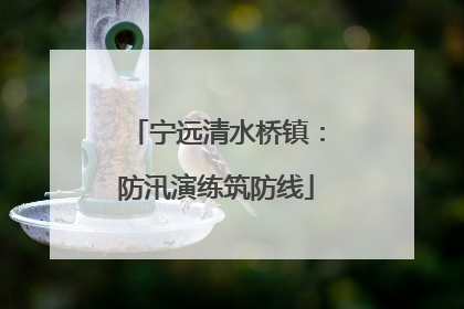 宁远清水桥镇：防汛演练筑防线