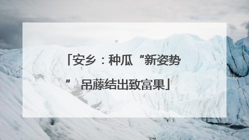 安乡：种瓜“新姿势” 吊藤结出致富果