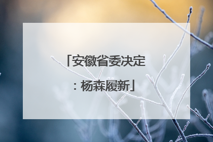 安徽省委决定：杨森履新