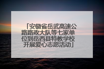 安徽省岳武高速公路路政大队等七家单位到岳西县特教学校开展爱心志愿活动