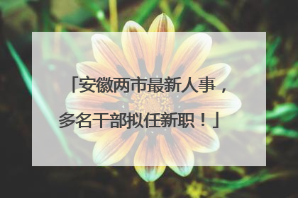 安徽两市最新人事，多名干部拟任新职！