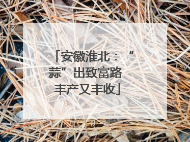 安徽淮北：“蒜”出致富路 丰产又丰收