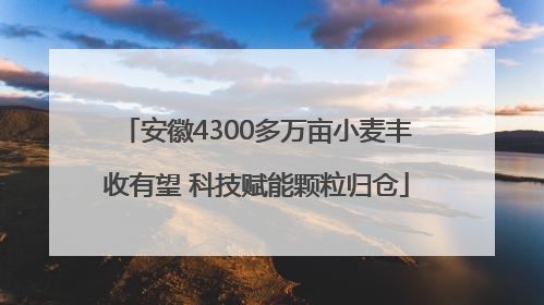 安徽4300多万亩小麦丰收有望 科技赋能颗粒归仓
