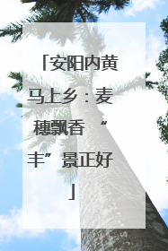安阳内黄马上乡：麦穗飘香 “丰”景正好