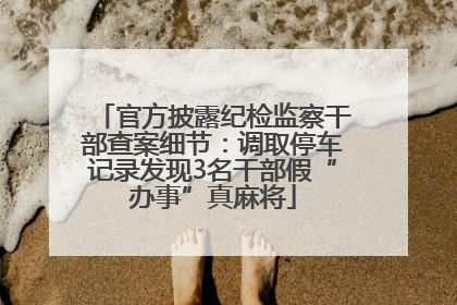 官方披露纪检监察干部查案细节：调取停车记录发现3名干部假“办事”真麻将
