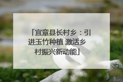 宜章县长村乡：引进玉竹种植 激活乡村振兴新动能