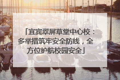 宜宾翠屏草堂中心校：多举措筑牢安全防线，全方位护航校园安全