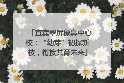 宜宾翠屏象鼻中心校：“幼芽”初探新枝，衔接共育未来