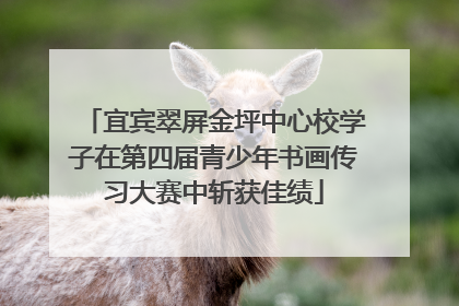 宜宾翠屏金坪中心校学子在第四届青少年书画传习大赛中斩获佳绩