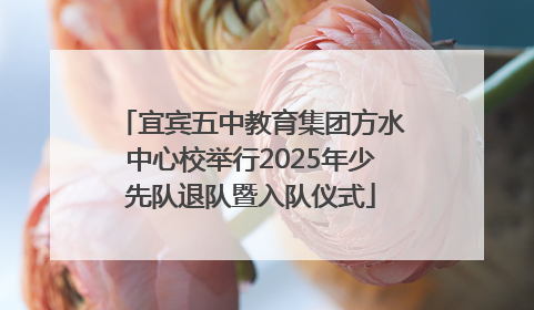 宜宾五中教育集团方水中心校举行2025年少先队退队暨入队仪式