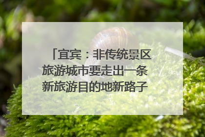 宜宾：非传统景区旅游城市要走出一条新旅游目的地新路子｜话锦绣·说安逸
