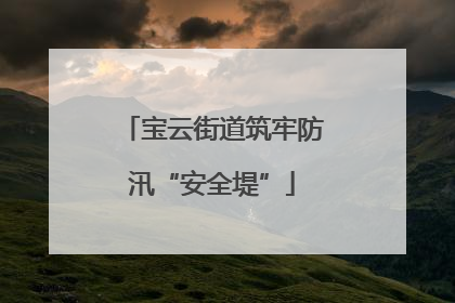 宝云街道筑牢防汛“安全堤”