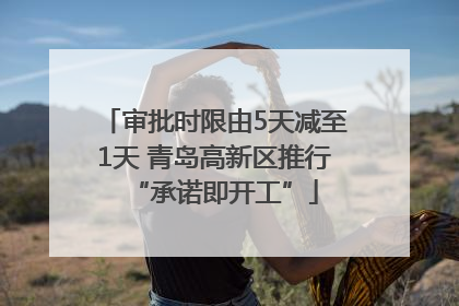审批时限由5天减至1天 青岛高新区推行“承诺即开工”