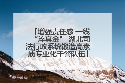 增强责任感 一线“淬真金” 湖北司法行政系统锻造高素质专业化干警队伍