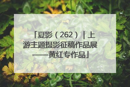 夏影（262）｜上游主题摄影征稿作品展——黄红专作品