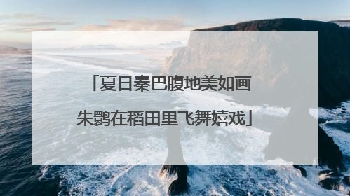 夏日秦巴腹地美如画 朱鹮在稻田里飞舞嬉戏