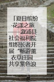夏日缤纷·花漾之旅——溆浦县社会福利院组织长者开展“畅游薰衣草庄园 共享紫色浪漫”户外活动