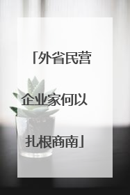 外省民营企业家何以扎根商南