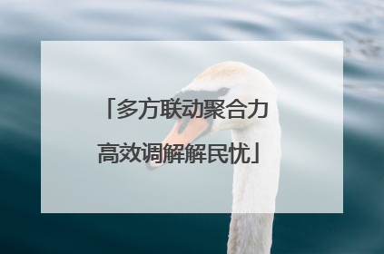 多方联动聚合力 高效调解解民忧