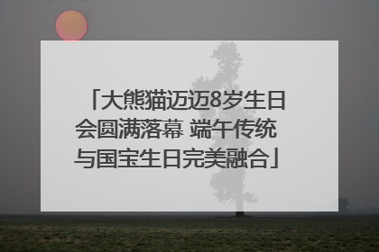 大熊猫迈迈8岁生日会圆满落幕 端午传统与国宝生日完美融合