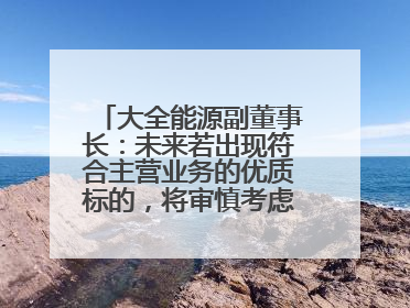 大全能源副董事长：未来若出现符合主营业务的优质标的，将审慎考虑并购机会