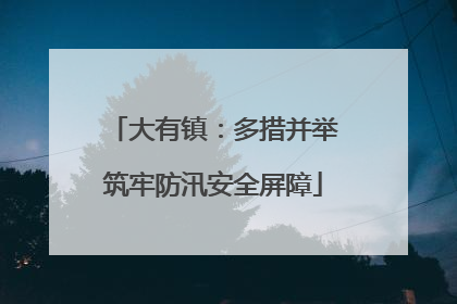 大有镇：多措并举筑牢防汛安全屏障