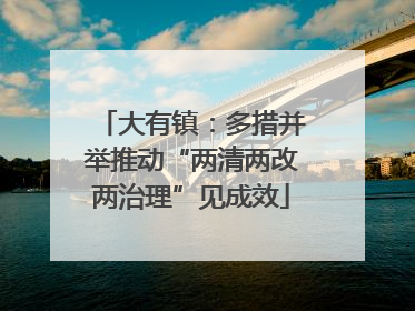 大有镇：多措并举推动“两清两改两治理”见成效